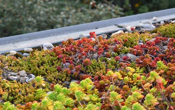 the cost of Rhyd Y Foel green roof installation