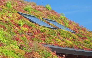 Rhyd Y Foel living roof systems