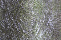 Rhyd Y Foel fibreglass roof work